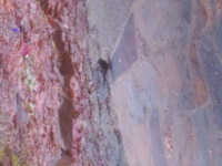 wp_20151228_011.jpg